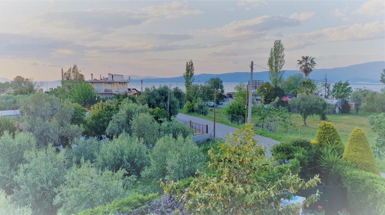 Vacation And Relaxation Home Oropos Nea Palatia Exterior photo
